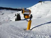 Cannoni della neve sul Schwarzeck