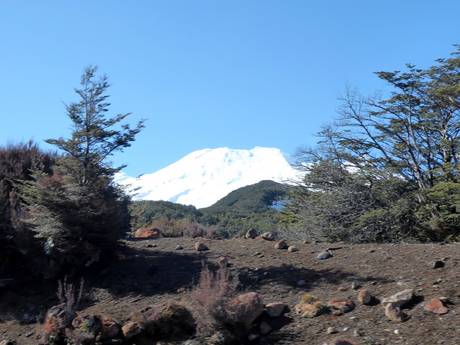 Manawatu-Wanganui: Rispetto ambiente dei comprensori sciistici – Ecologia Tūroa - Mt. Ruapehu