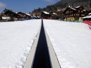 Tapis roulant della Schweizer Ski- und Snowboardschule Wengen 