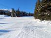 Offerta di piste Montagne Rocciose Canadesi – Offerta di piste Marmot Basin - Jasper