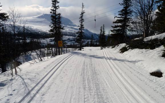 Sci di fondo Telemark – Sci di fondo Gaustablikk - Rjukan