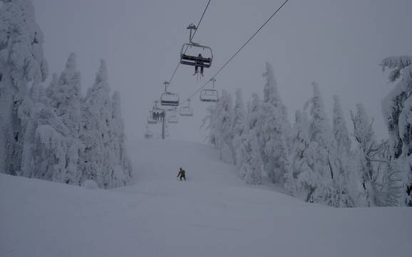 Sciare in Oregon