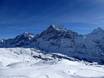 Jungfrau Region: Recensioni dei comprensori sciistici – Recensione First - Grindelwald