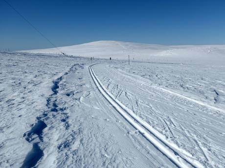 Sci di fondo Svezia Settentrionale – Sci di fondo Dundret Lapland - Gällivare