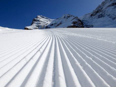 Preparazione delle piste Alpi Svizzere – Preparazione delle piste Kleine Scheidegg/Männlichen - Grindelwald/Wengen