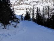 Sentiero sciistico per il campo scuola presso lo skilift Gampen
