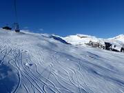 Pendio per scii in neve fresca a Brigels/Waltensburg/Andiast