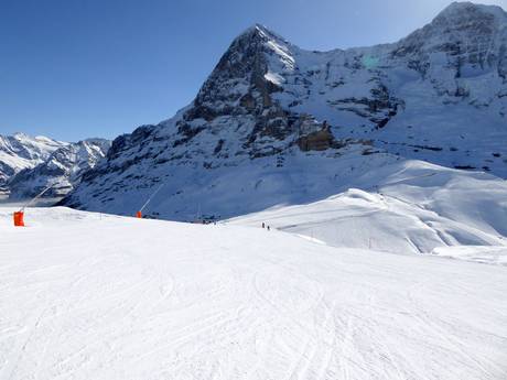 Offerta di piste Svizzera Tedesca – Offerta di piste Kleine Scheidegg/Männlichen - Grindelwald/Wengen