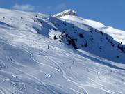 Pendio per scii in neve fresca a Brigels/Waltensburg/Andiast