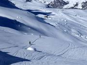 Pendii di neve fresca presso Alp Surlej