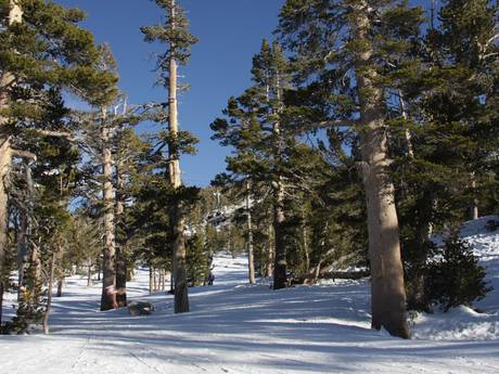 Comprensori sciistici per sciatori esperti e freeriding Lake Tahoe (Lago Tahoe) – Sciatori esperti, freerider Heavenly