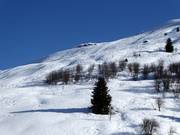 Vista sulla pista difficile n. 2 Carlo Janka con pendii in neve fresca
