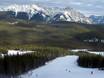 Alberta's Rockies: Rispetto ambiente dei comprensori sciistici – Ecologia Nakiska
