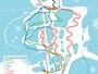 Mappa delle piste Terre Ronde/La Praille - Plateau d’Hauteville