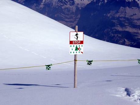 Jungfrau Region: Rispetto ambiente dei comprensori sciistici – Ecologia Kleine Scheidegg/Männlichen - Grindelwald/Wengen