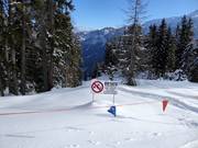 E' vietato sciare nelle zone boschive.