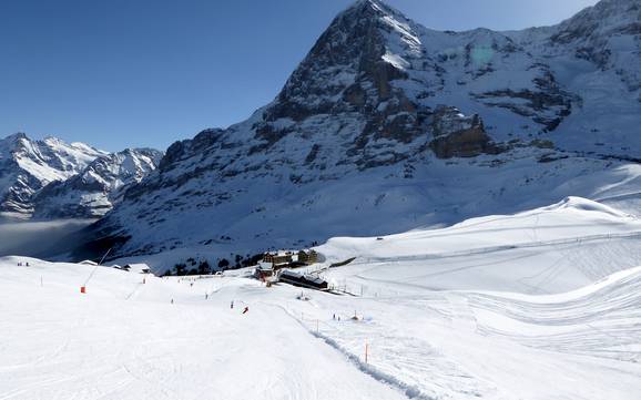 Sciare nelle Alpi Svizzere