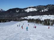 Piste larghe e facili per imparare a sciare sulla Winklmoos-Alm