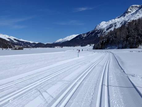 Sci di fondo Engadin St. Moritz – Sci di fondo Corvatsch/Furtschellas