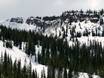 Comprensori sciistici per sciatori esperti e freeriding Colorado – Sciatori esperti, freerider Snowmass