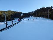 Pista per esercitazioni a Masella