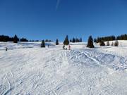 Facile pista panoramica