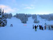 Vista sulle piste del Mt. Morrisey