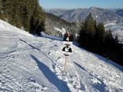 Segnaletica delle piste