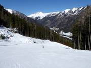 Discesa nel bosco Mauterndorf (discesa a valle)