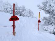 Terreno aperto e ripido