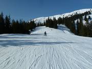 Pista presso la seggiovia Sattelkurvenlift