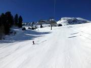 Anche i pendii ripidi vengono preparati alla perfezione.