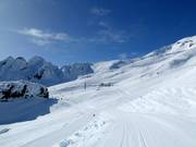 Vista sui pendii freeride Knoll Ridge e Valley T-Bar