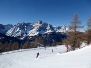 Magnifica pista dal Stiergarten