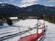 Suggerimento per i più piccoli 