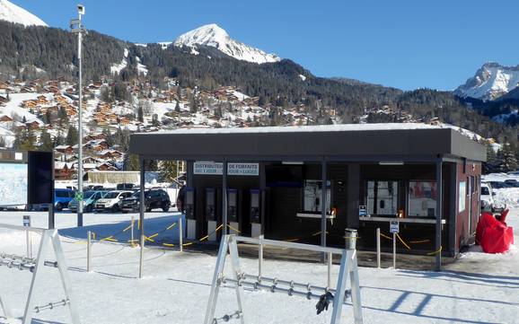 Vaud: Pulizia nei comprensori sciistici – Pulizia Villars/Gryon/Les Diablerets