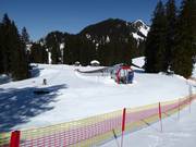 Tappeto e pista di esercitazione Seebli