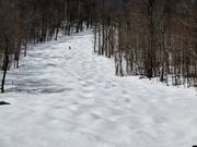 Pista di gobbe al Whiteface Mountain