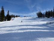 Ravinbacken a Hundfjället