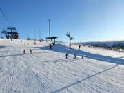 Pista facile e larga Familjebacken a Hundfjället