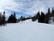 Pista facile Hangurs