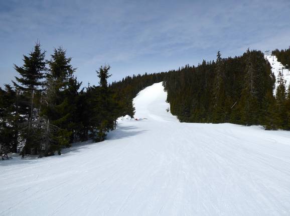 Pista difficile Skogshenget