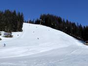 Pista Großberg/Michaela-Kirchgasser-FIS-Strecke