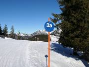 Segnaletica delle piste