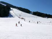 Piste facili in valle