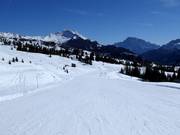 Pista facile Incisa presso il Passo Campolongo