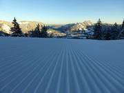 Così inizia la giornata all'alpeggio Wiedhagalpe