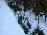 Le aree di riforestazione non possono essere attraversate