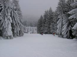 Bocksberg - Hahnenklee