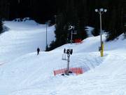 Cannone da neve al Cypress Mountain